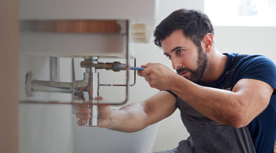 Trap Repair/Replacement in Albion, IL